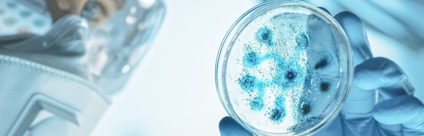 Photo-Blog-Qu est ce qu un cabinet de recrutement en life sciences et industrie-février 2025-PaHRtners.jpg