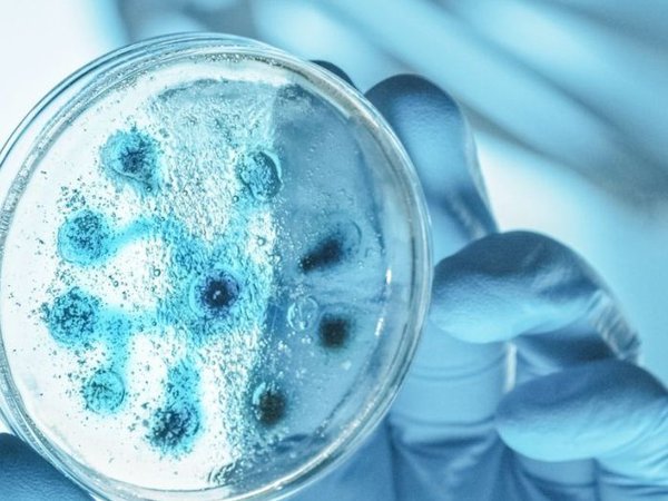 Photo-Blog-Qu est ce qu un cabinet de recrutement en life sciences et industrie-février 2025-PaHRtners.jpg
